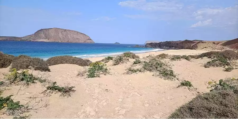 Flora y Fauna de La Graciosa